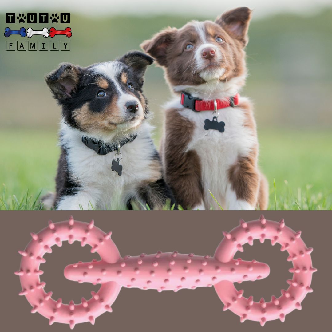 Jouet-pour-chiot-petit-chien-indestructible-rose-deux-chiot-de-race-avec-leur-jouet-à-mâcher-indestructible