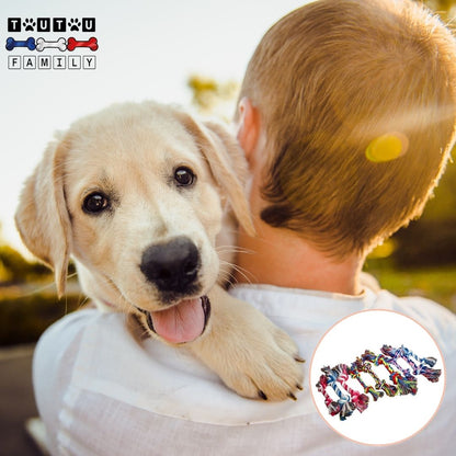 jouet-pour-chien-chiot-corde-jouet-interactif-a-mâcher-un-chiot-golden-tout-heureux-porter-dans-les-bras-de-son-maitre