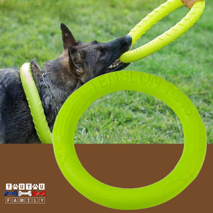 jouet-solide-pour-chien-anneau-vert-pour-chien-de-grande-de-taille