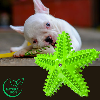 jouet-solide-pour-chien-en-caoutchouc-naturel-un-chiot-bouledogue-français-blanc-qui-fait-ses-dents