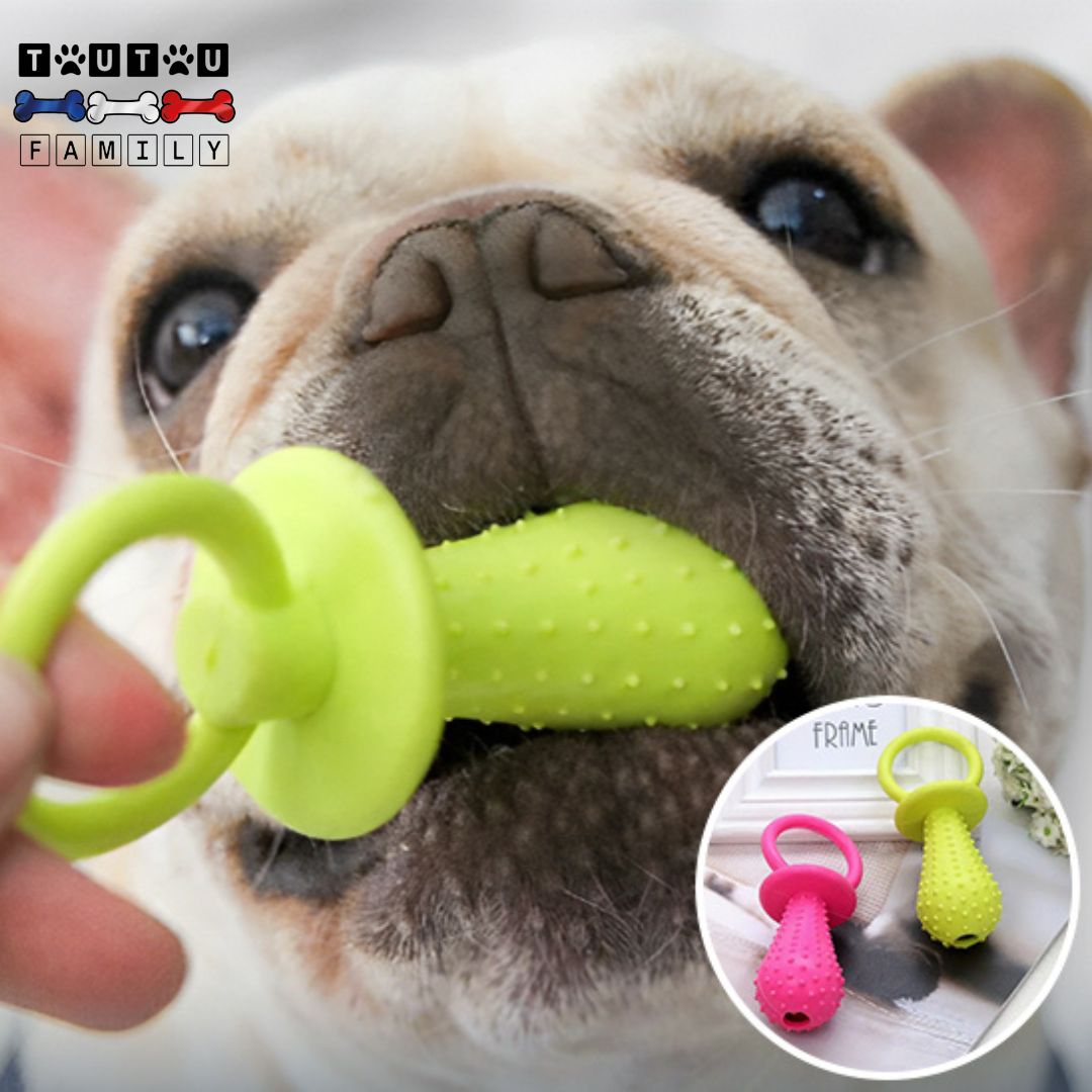 jouets-pour-chiots-macheurs-agressifs
