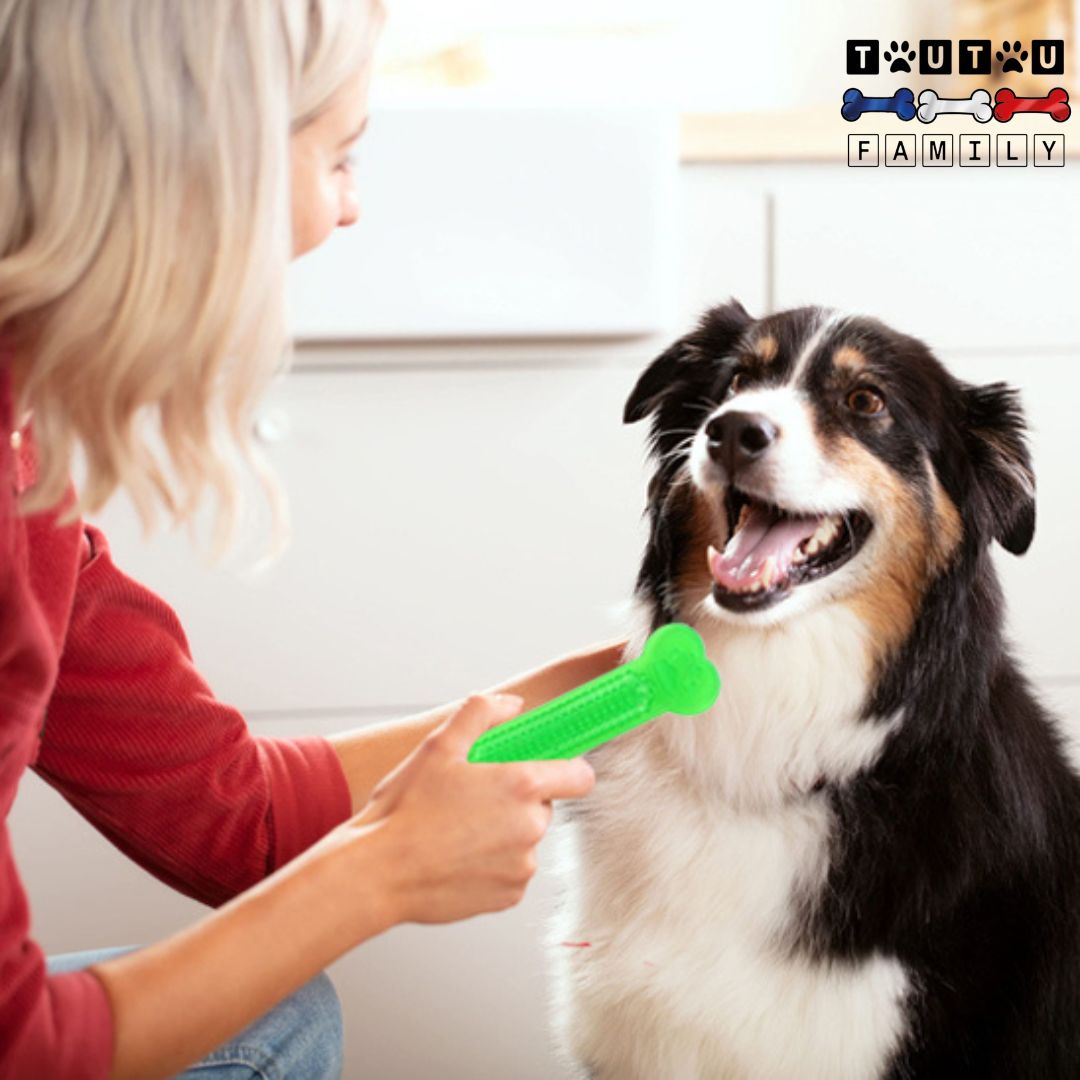 Jouets-pour-chiots-os-jouet-indestructible-jouet-solide-et-résistant-pour-mâcheurs-agressifs-jouet-d-occupation-pour-chiot-et-petit-chien