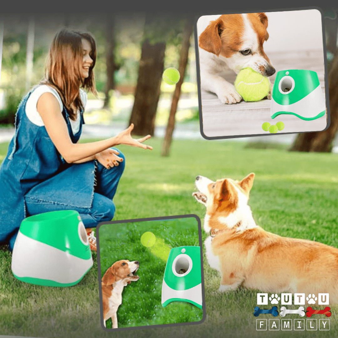 lance-balle-automatique-pour-chien