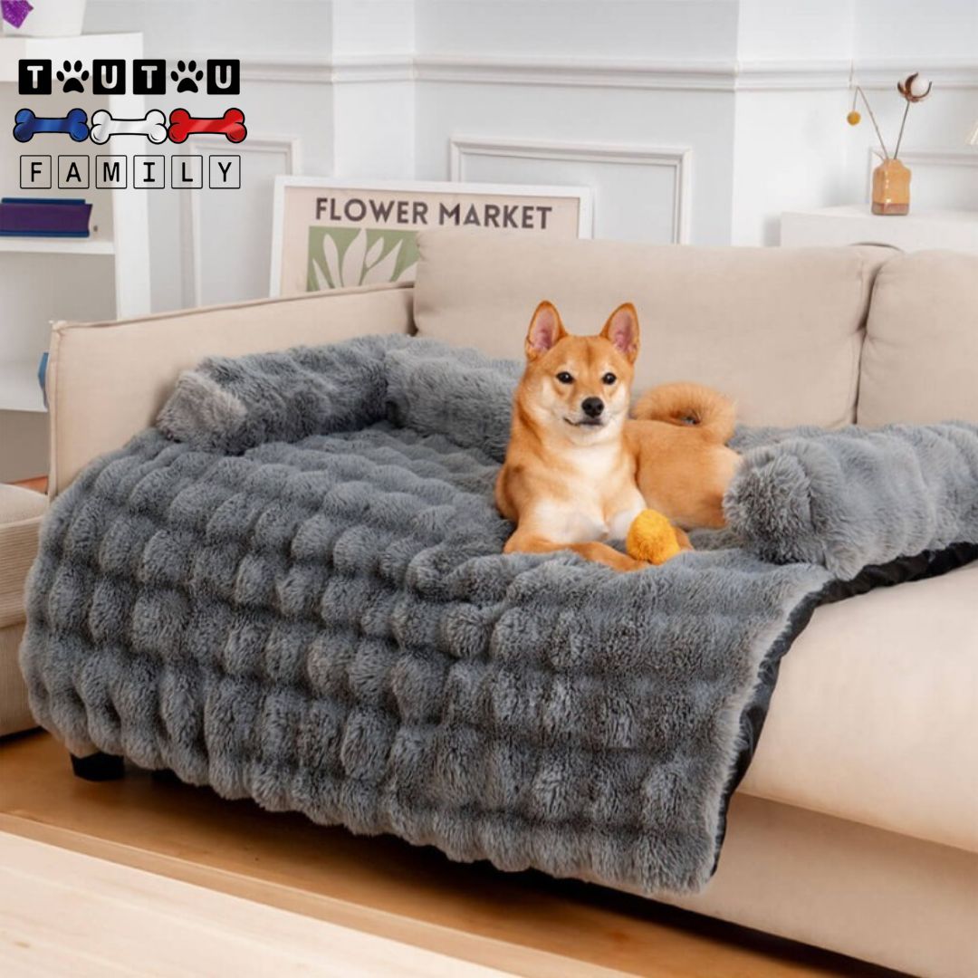 Lit-pour-chien-protege-canape-avec-traversin-un-chien-de-taille-moyenne-couché-sur-le-lit-ultra-doux-posé-sur-e-canapé-en-cuir-du-salon-couchage-résistant-au-griffes-protège-de-la-saleté-des-pattes-et-des-poils-de-chien