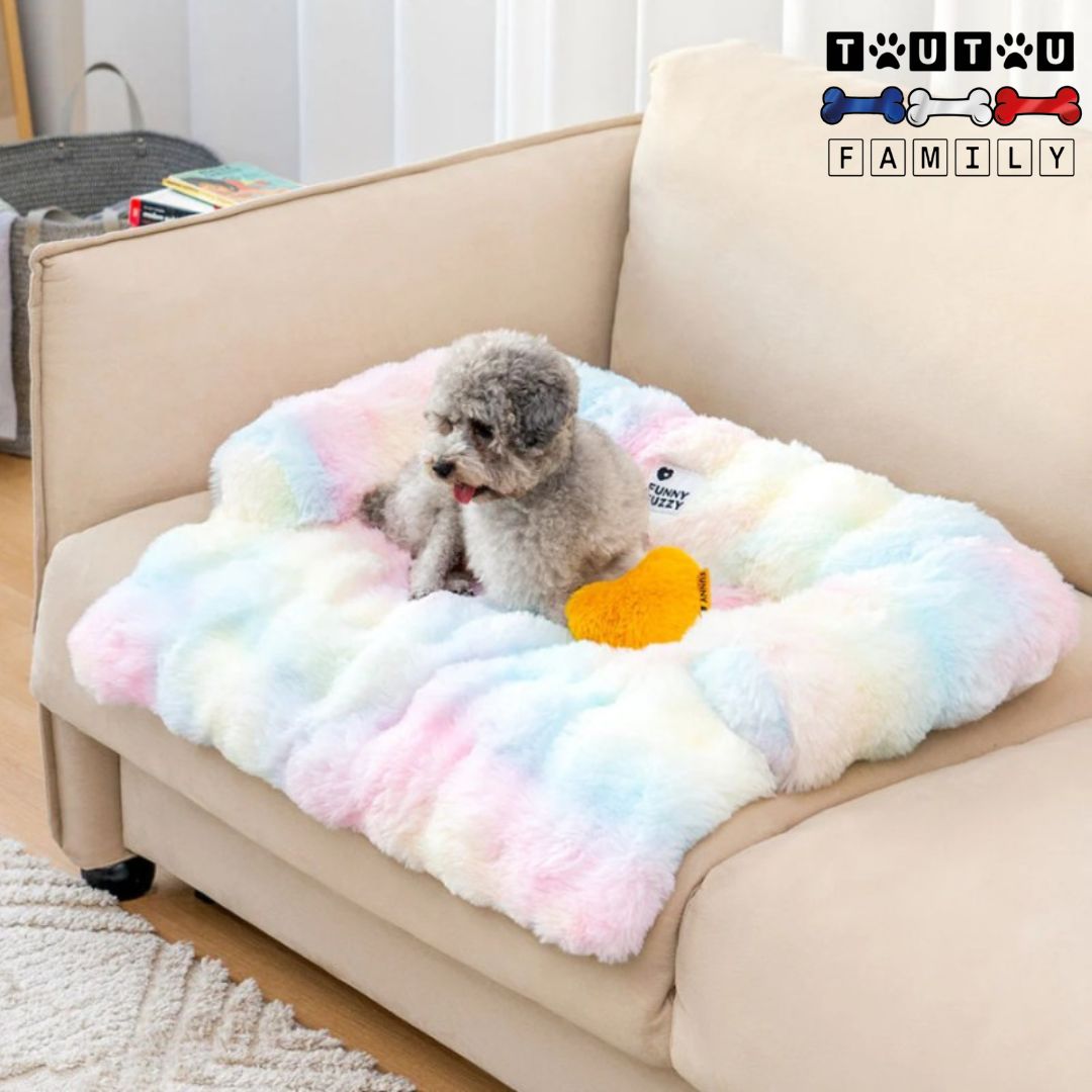 Lit-pour-chien-protège-canapé-avec-rebord-un-caniche-couché-su-le-lit-avec-traversin-en-U-100%-coton-PP-lavable-en-machine-antidérapant-posé-sur-le-fauteuil-du-salon