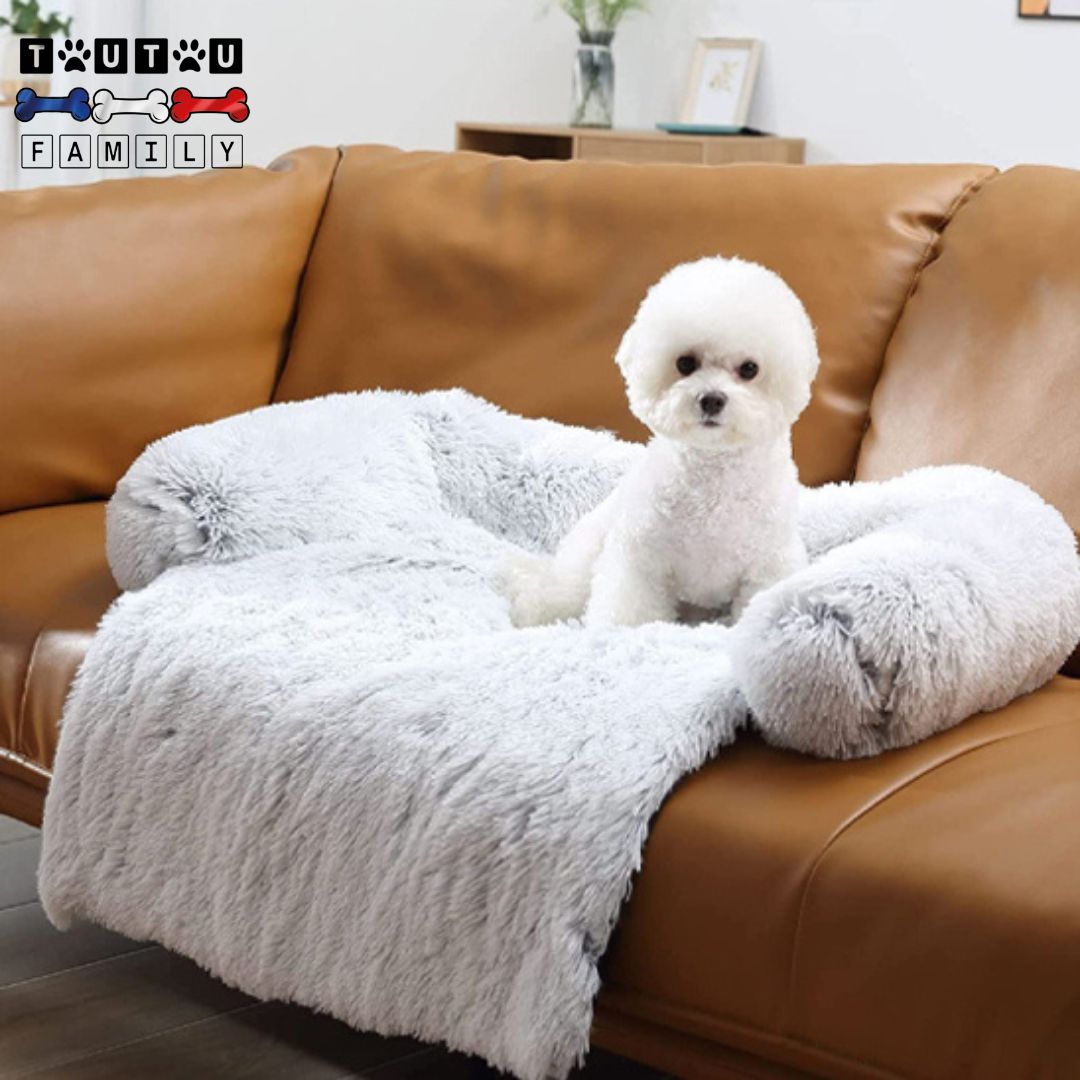 lit-pour-chien-un-coton-de-tuléar-couché-sur-son-lit-tout-doux-qui-protège-le-canapé-en-cuir