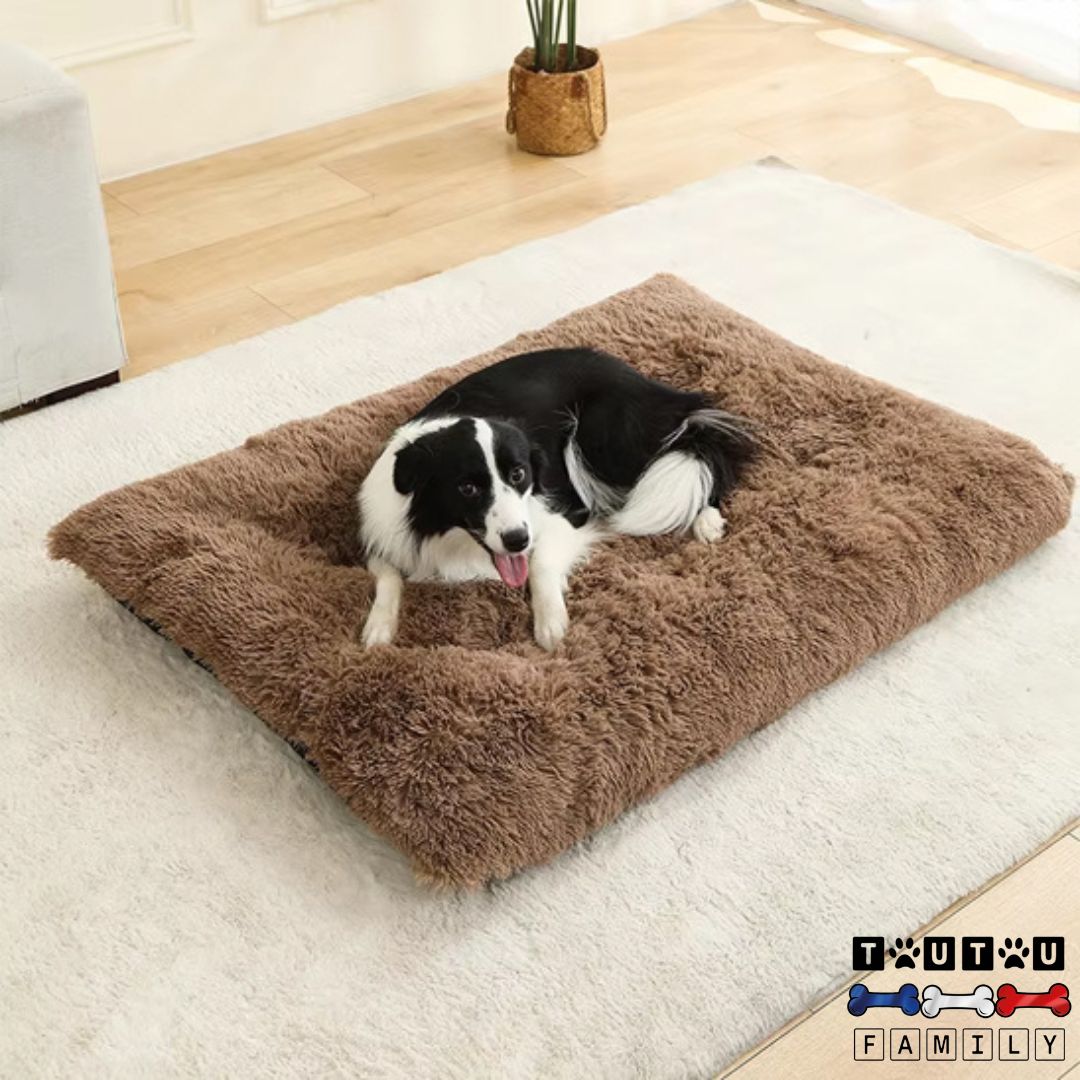 Lit-pour-chien-douillet-lavable-en-machine-un-grand-chien-sur-son-lit-ergonomique-en-coton-de-couleur-marron-posé-sur-le-sol-lit-antidérapant