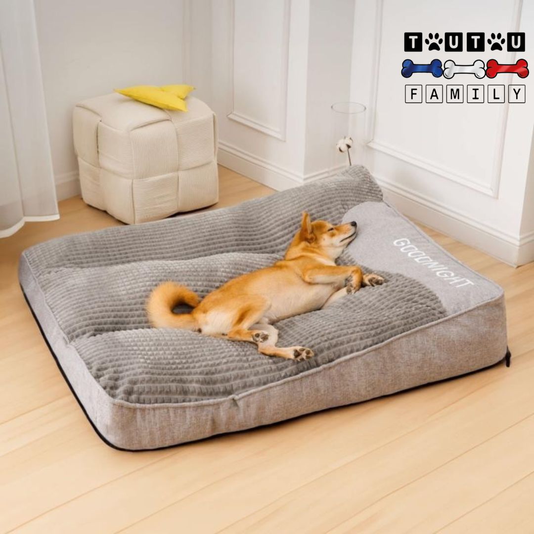 Lit-pour-chien-dehoussable-lavable-avec-rebord-surélevé-un-chien-qui-dort-sur-le-lit-doux-et-confortable-en-reposant-sa-tête-sur-l-un-des-rebords-surélevés-un-repose-cou-ergonomique