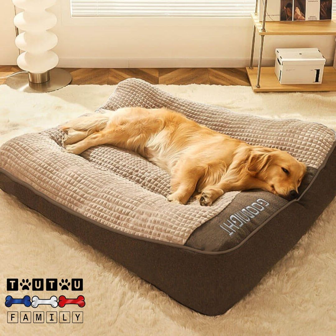 Lit-pour-chien-epais-coussin-rembourrage-100%-coton-un-grand-chien-couché-sur-le-flanc-sa-tête-reposant-sur-le-rebord-surélevé-et-entourant-anti-anxiété