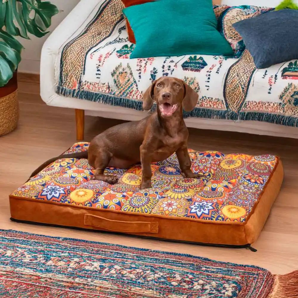 lit-orthopédique-chien-épais-matelassé remplie de mosaïques rembourrages 100% coton haute élasticité au motif coloré et design bohème chic pour petit à chien moyen-un petit chien assis sur le matelas à mémoire de forme pour un soutien et un confort optimal dans le salon coloré de l'appartement 