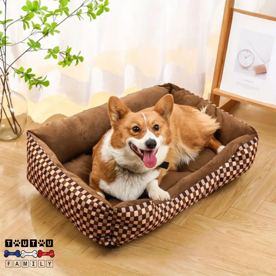 panier-chien-velours-un-chien-de-taille-moyenne-blotti-dans-son-panier-en-velours-doux-de-couleur-marron-avec-des-imprimé-à-carreaux