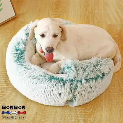 Panier-petit-chien-2-en-1-panier-chien-rond-coussin-rond-chaud-épais-en-fourrure-un-chiot-labrador-beige-couché-confortablement-dans-le-panier-sous-la-forme-de-coussin-sans-toit-rembourrage-100%-coton