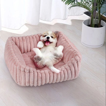 panier-petit-chien-épais-durable-un-petit-chien-sur-le-dos-les-pattes-en-l-air-dans-son-panier-doux-de-couleur-rose-dans-le-salon