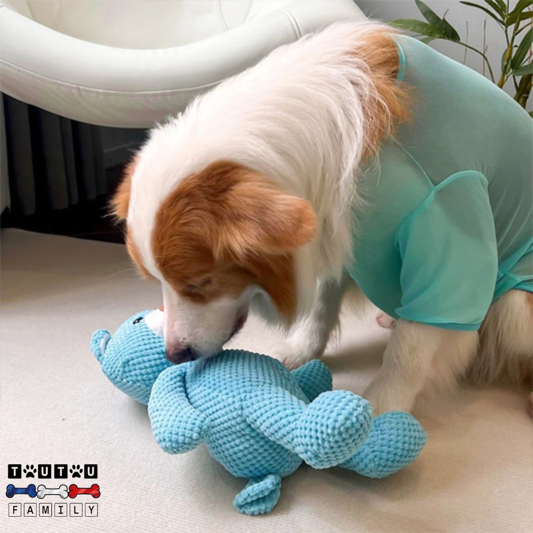 peluche-pour-chien-ours-bleu-résistant-à-mordre-et-à-mâcher-apaisant-réconfortant-et-doux