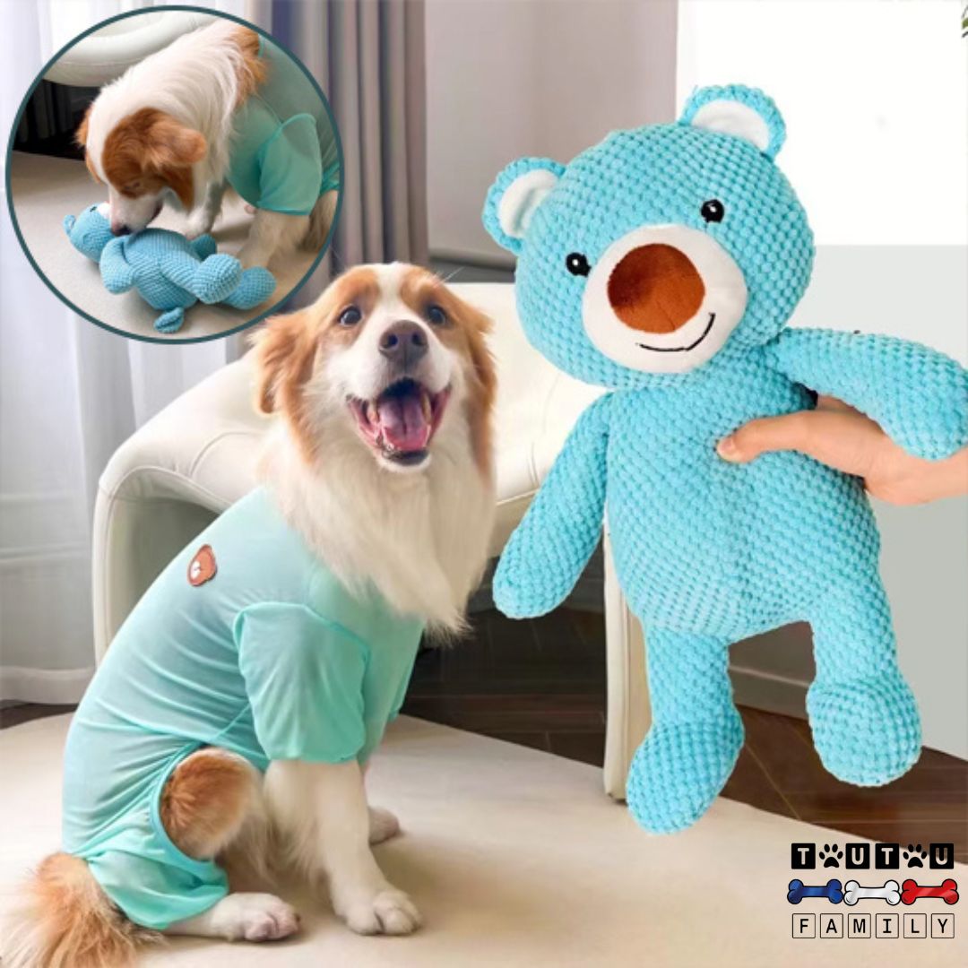 peluche-pour-chien-ours-bleu-hygiene-dentairejouet-pour-chien-à-mâcher-doux-et-indestructible