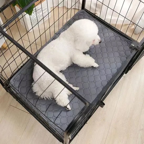 Tapis absorbant chien - AlèseToutou™