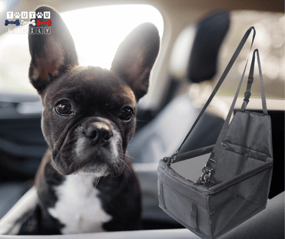 Siège auto chien - SiègeToutou™