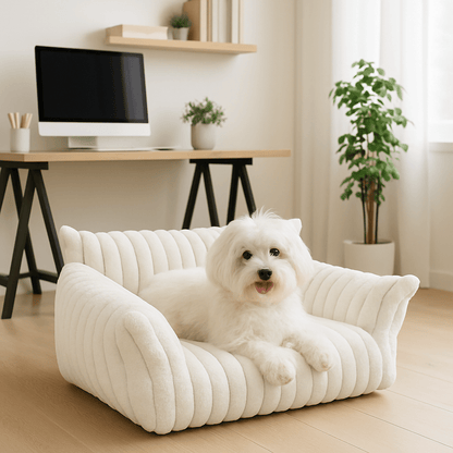 sofa-chien-blanc-un Westie confortablement couché sur le canapé douillet et chaud déhoussable et lavable en machine avec fond antidérapant-revêtement en velours doux et résistant avec rembourrage 100% coton PP-dans le salon de la maison