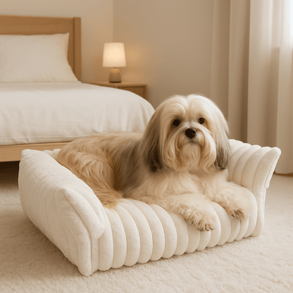 Sofa-chien-de-petite-taille-un petit chien couché confortablement sur le canapé blanc au toucher velours et résistant au rembourrage 100% coton haute densité ergonomique avec dossier et accoudoir entourant et sécurisant dans la chambre de la maison