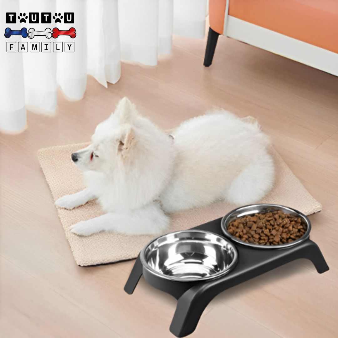 Support-gamelle-pour-chien-chiot-2-gamelles-inox-un-petit-chien-couché-à-côté-de-sa-gamelle-surélevées-avec-le-sol-de-la-maison-propre