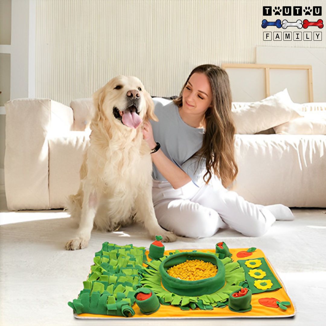 Tapis-de-fouille-pour-chien-jouet-d-occupation-chien-gamelle-d-enrichissement-mental-une-maîtresse-avec-son-golden-tout-heureux-avec-son-tapis-de-fouille-unjouet-anti-ennui-anti-anxiété