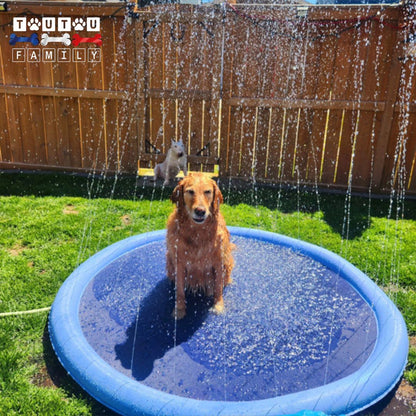 tapis-d-eau-pour-chien-avec-jets-un-chien-qui-se-rafraichit-sur-le-tapis-d-eau-avec-jet-qui-se-transforme-en-piscine-pour-chien-et-pataugoire