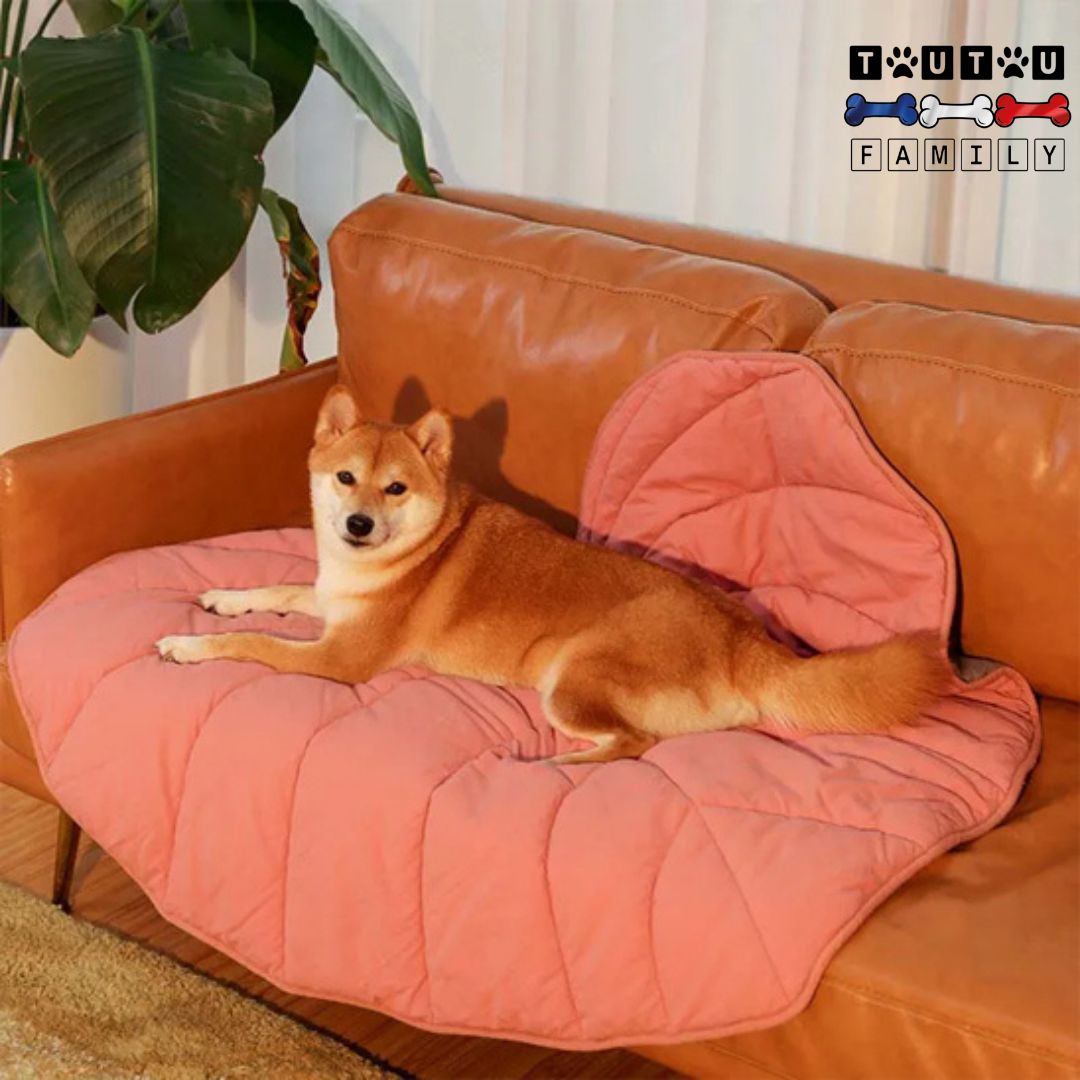 tapis-pour-chien-design-double-face-rembourre-coton-lavable-en-machine-un-shiba-inu-couché-sur-le-tapis-qui-protège-le-canapé-en-cuir-de-la-maison