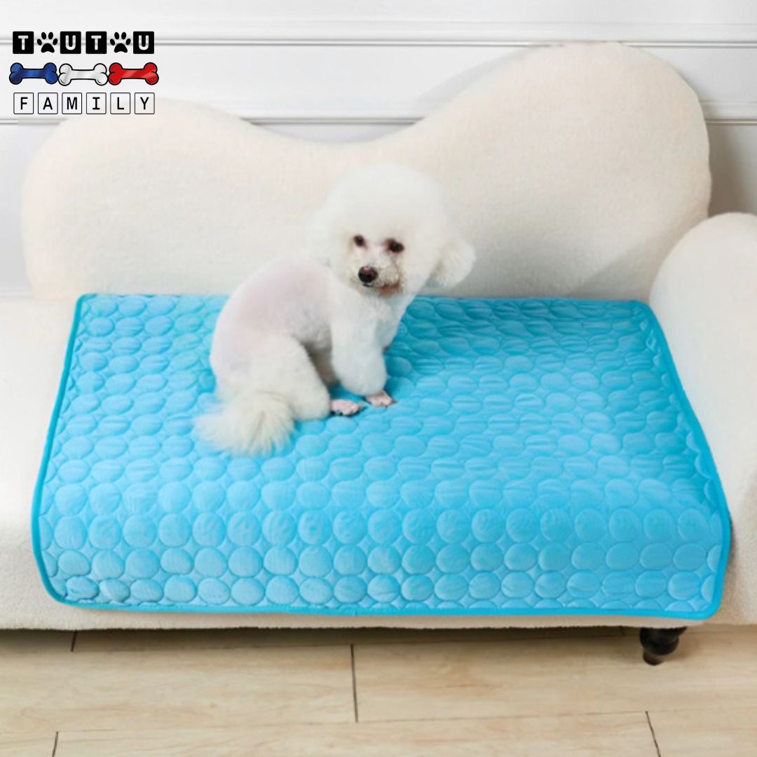 tapis-rafraichissant-chien-frigo-un-tapis-transportable-pour-canapé-sol-voiture-pour-garder-le-chien-frais-lors-de-l-été-et-des-fortes-température