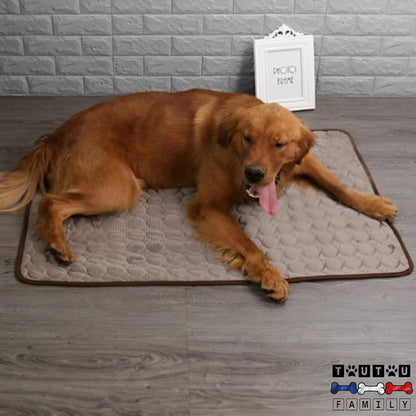 tapis-rafraichissant-chien-climatisé-un-golden-qui-halète-couché-sur-son-tapis-pour-se-rafraichir